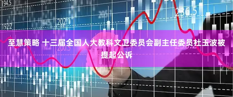 至慧策略 十三届全国人大教科文卫委员会副主任委员杜玉波被提起公诉