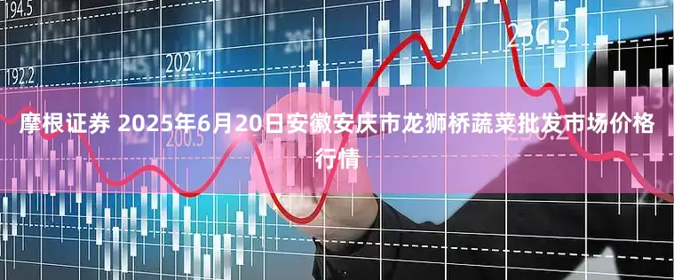 摩根证券 2025年6月20日安徽安庆市龙狮桥蔬菜批发市场价格行情