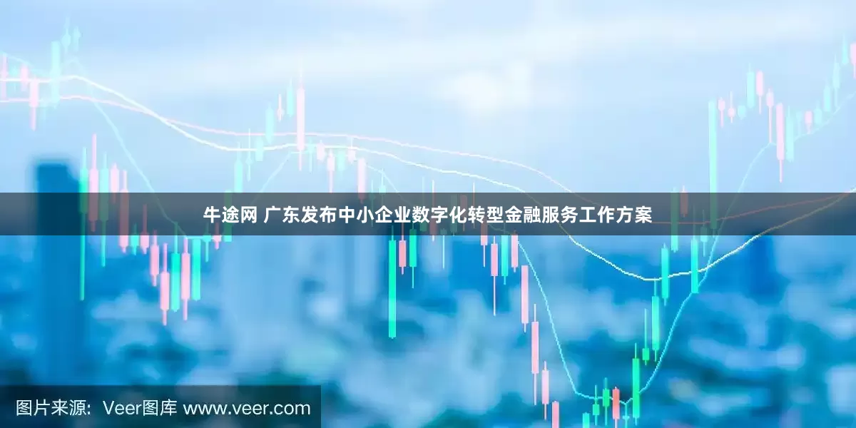 牛途网 广东发布中小企业数字化转型金融服务工作方案