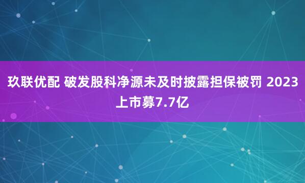 玖联优配 破发股科净源未及时披露担保被罚 2023上市募7.7亿